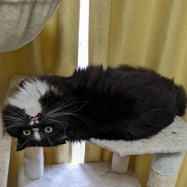 Bb165cb2 8193 4816 9340 c55fb5cc80d8 1716502246772