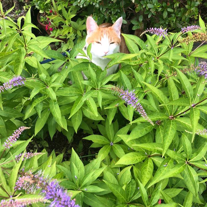 Bb16addb e193 42aa 8317 f6c273ba944e 1561590095924