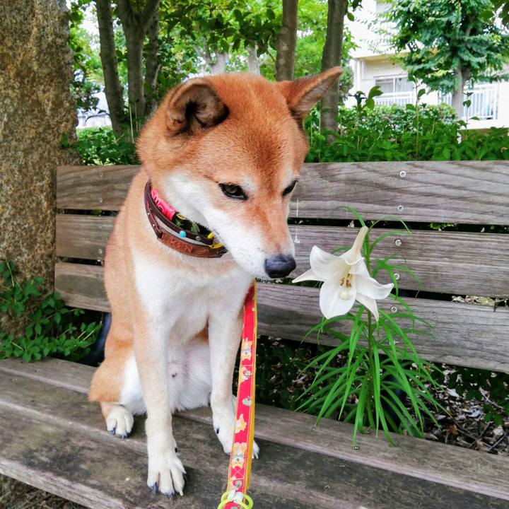 Bb16fce8 68c7 4cc1 a7aa 355d41bce26d 1598324950353