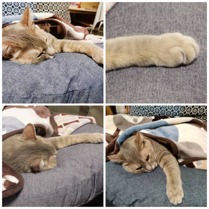 Bb170b10 b5ba 4619 98f4 c3bedd6056bd 1641700013964