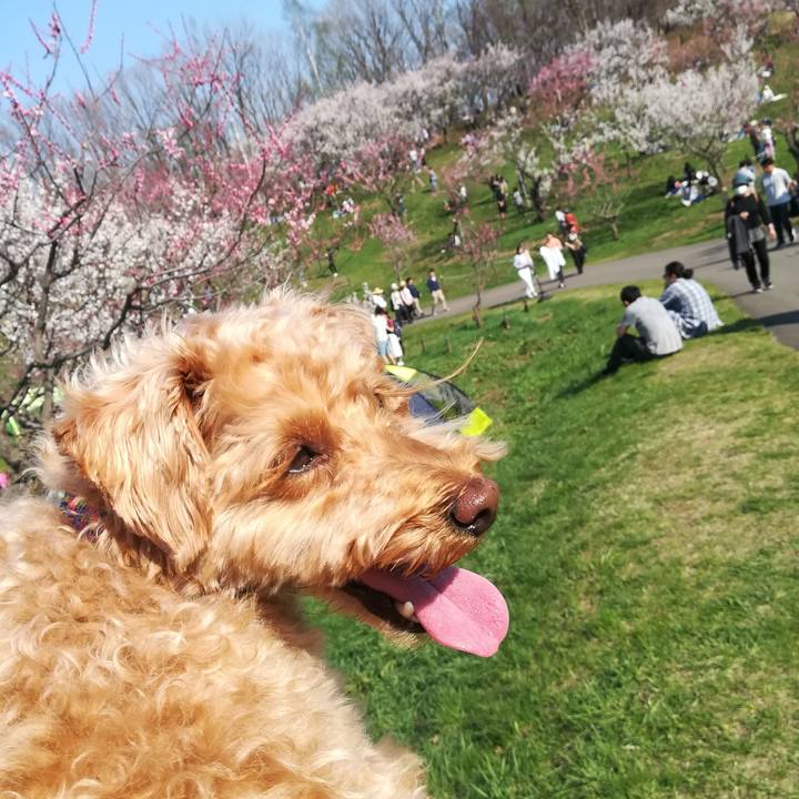 Bb1739c6 2848 4487 8aff 9a35390ef7a6 1556957078221