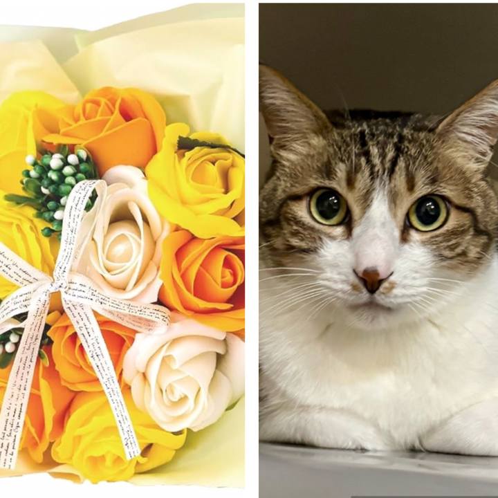 Bb173dad 6749 46f4 a38f 9e5e1acf474d 1755211329118