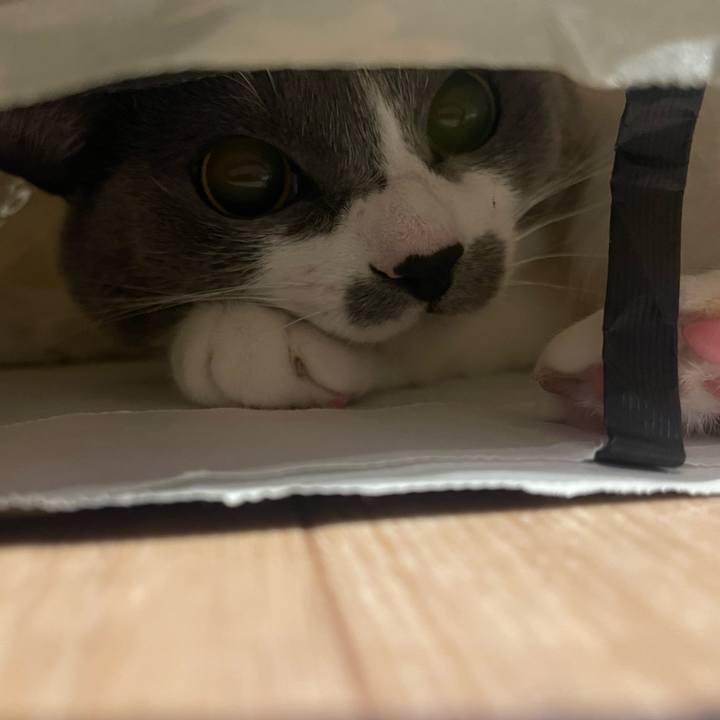 Bb179d14 d90f 427d 8e64 e6699f176394 1668336824898