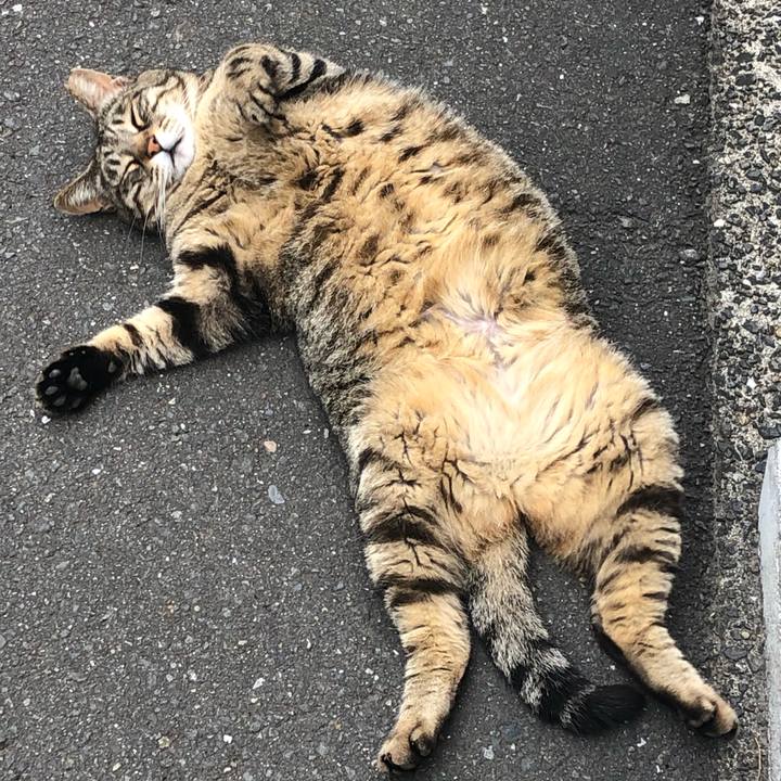 Bb17b4ea a019 45ee b4d2 25f3031df2a9 1559216620579