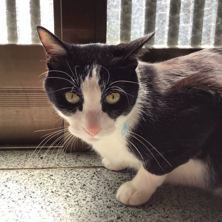 Bb17c3e9 1438 48df a01f 20dceb883f01 1744194503113