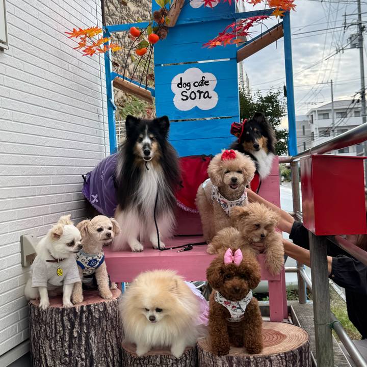 Bb17c849 9770 4b50 be46 99a6b37855a0 1760970155481