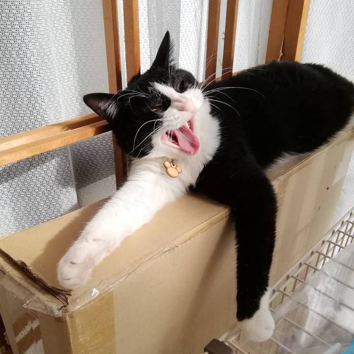 Bb1815a8 1eee 4888 bf34 475267e51ae1 1555412617283