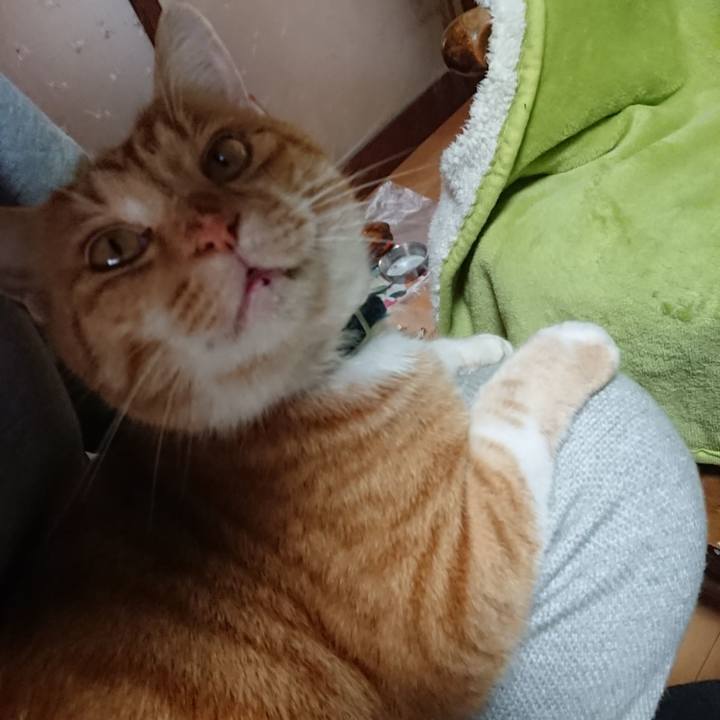 Bb181c27 5c8e 4172 9cc5 4665bfc4b602 1606098122619