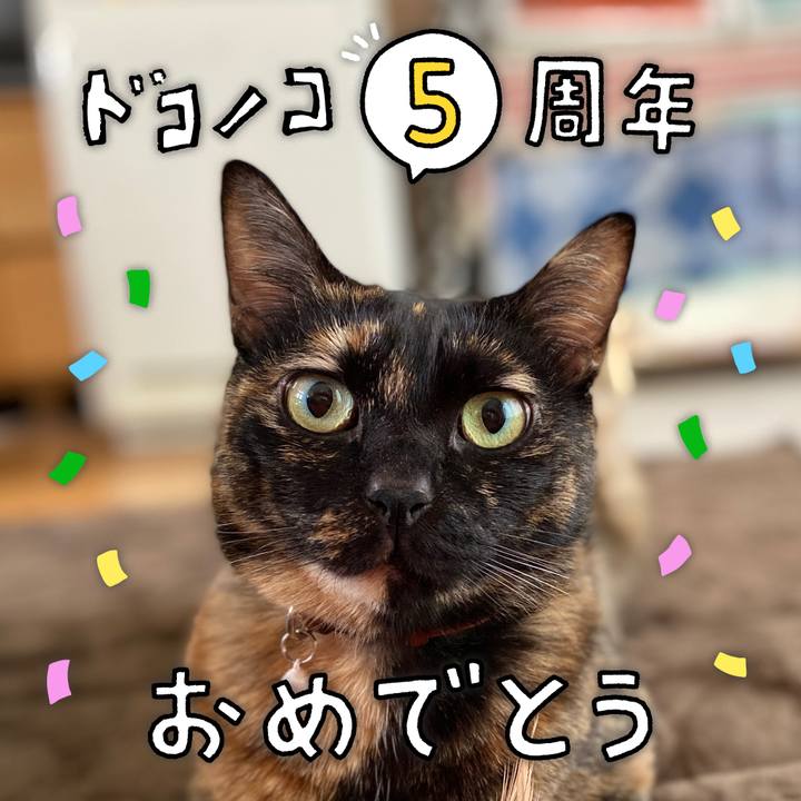 Bb182656 3f51 4004 ae6d 97efde1f95f4 1622876205512