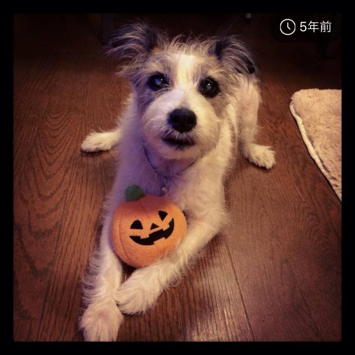 Bb187a94 f8f0 4d38 9205 7406c2078f5c 1540996291881