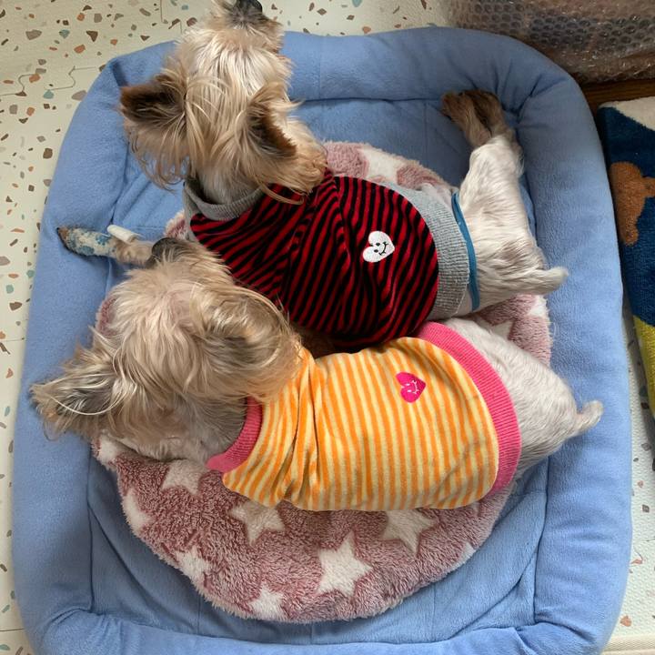 Bb18972d d2de 49bf 8af8 1850c74a361d 1706606976701