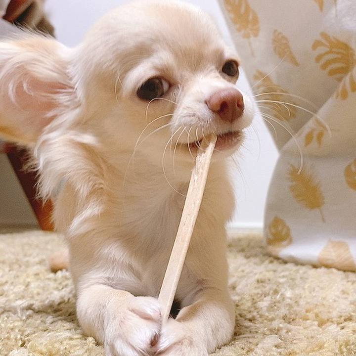 Bb18ab81 c102 4f87 8b33 892969385bad 1598255519345