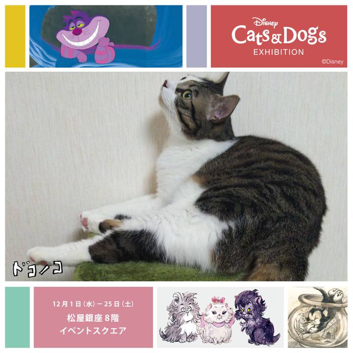 Bb18df3d 3ea1 4193 8ddd e8446bac94dd 1638446350648