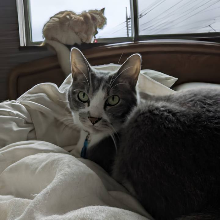 Bb18ffdf 13e3 4101 a9e0 4e18ad6326f8 1760506352754