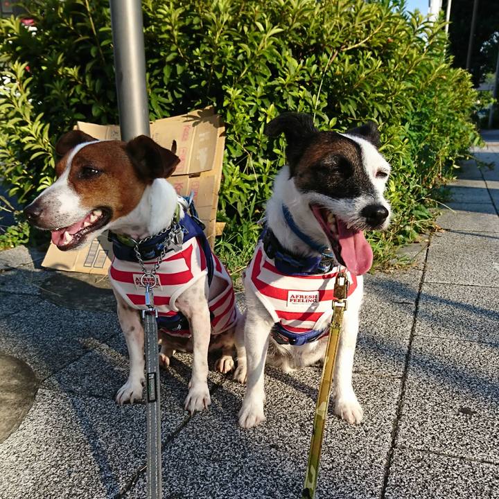 Bb1930b2 5780 4e31 bcd3 e8698d794763 1597269667564