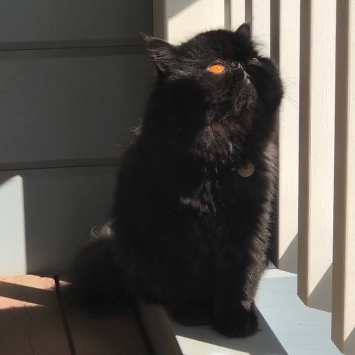 Bb193eea d9e0 41ce 9c53 8c7f46048dfc 1568954660035