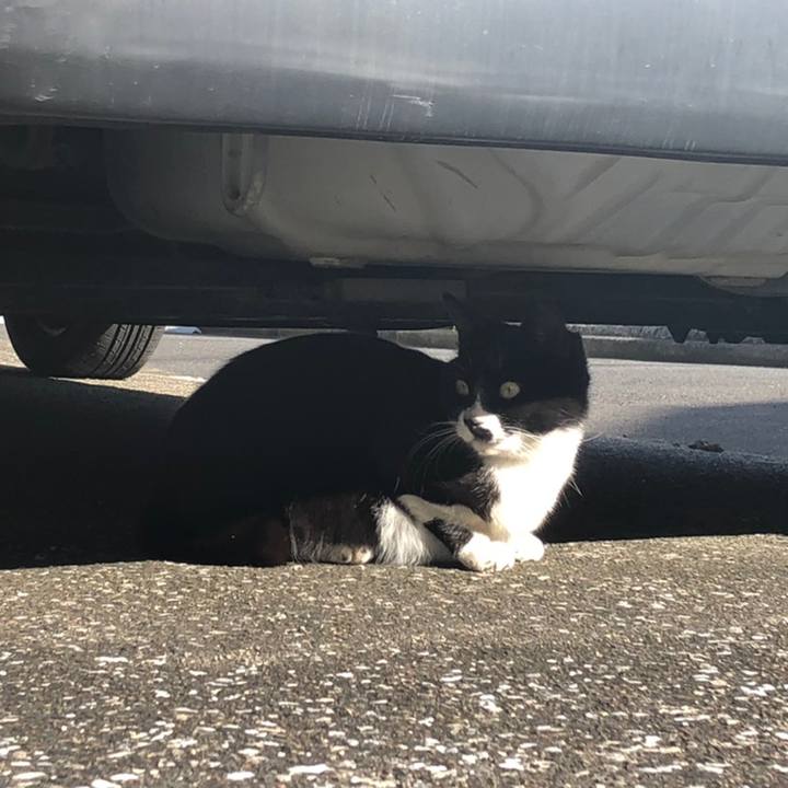 Bb1964a9 7635 4752 b62a 2db92ee928b6 1558179564086