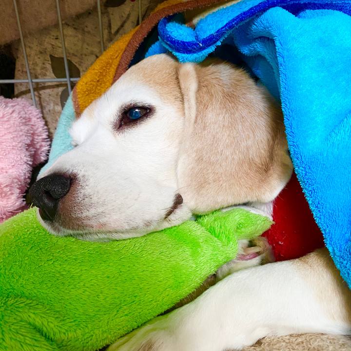 Bb197a3d fccc 4bc2 9a89 f41e7613b111 1586578373626