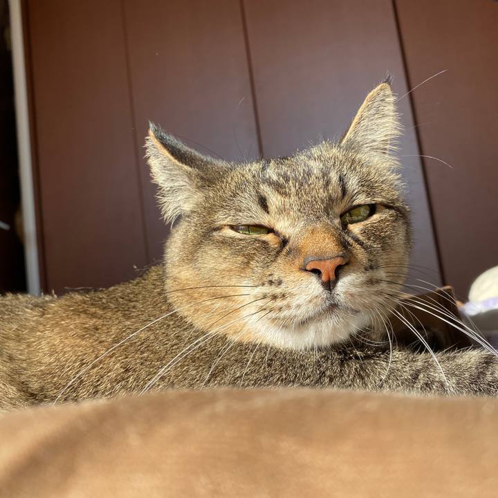 Bb199166 3e55 4790 9dd4 18208cfb34e2 1612592485811