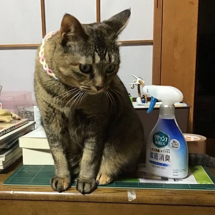 Bb19b00f 67a7 46a4 8b46 de73f3dd71da 1697629663644