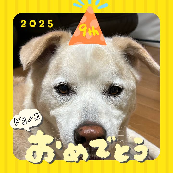 Bb19c89c 38ab 42ae a1a3 120a4c427a05 1749176670205