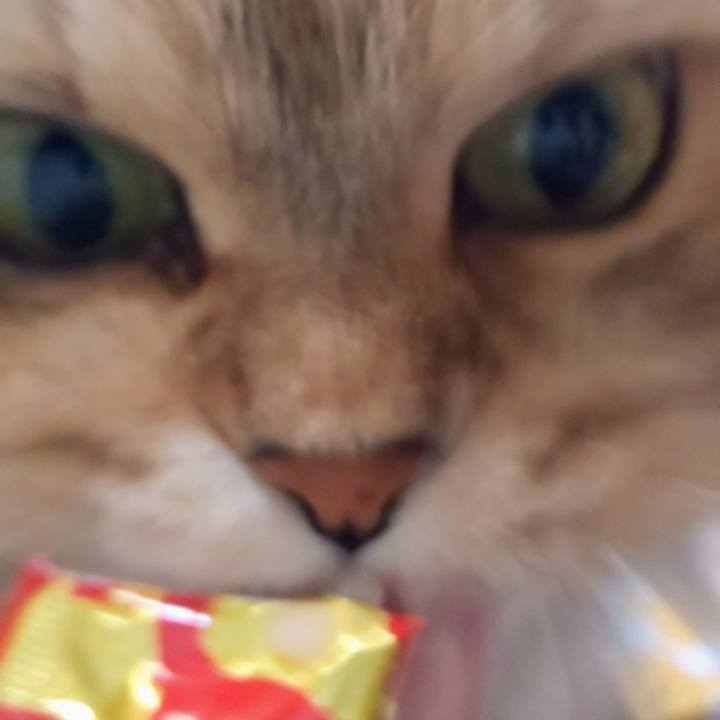 Bb19d92f a12a 468d 8e7b c1883ee18778 1611796311990