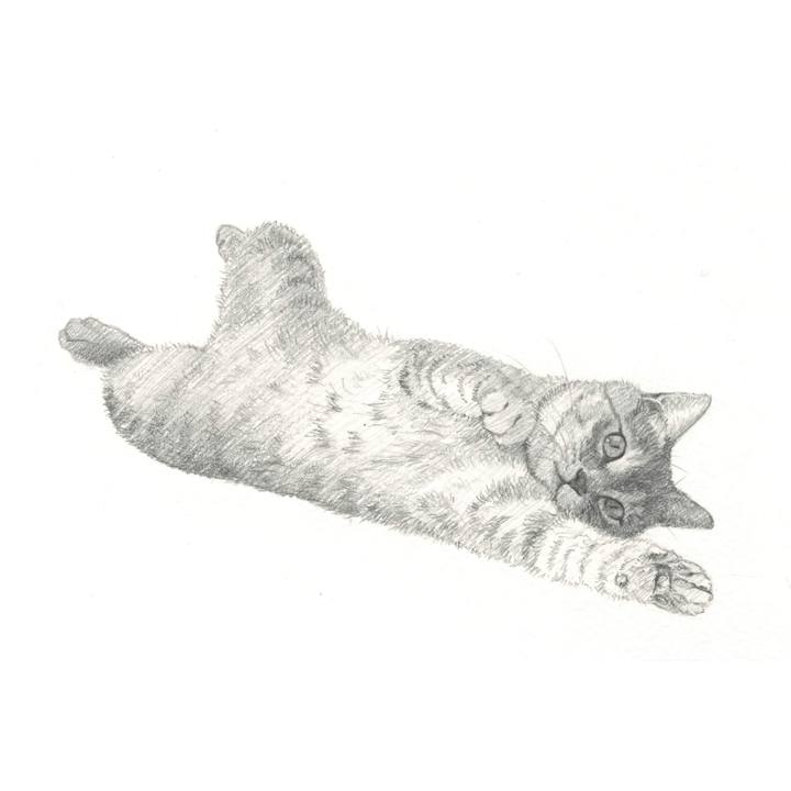 Bb19dd50 8be6 4a6d 98b8 2bfbd974f78b 1541853007506