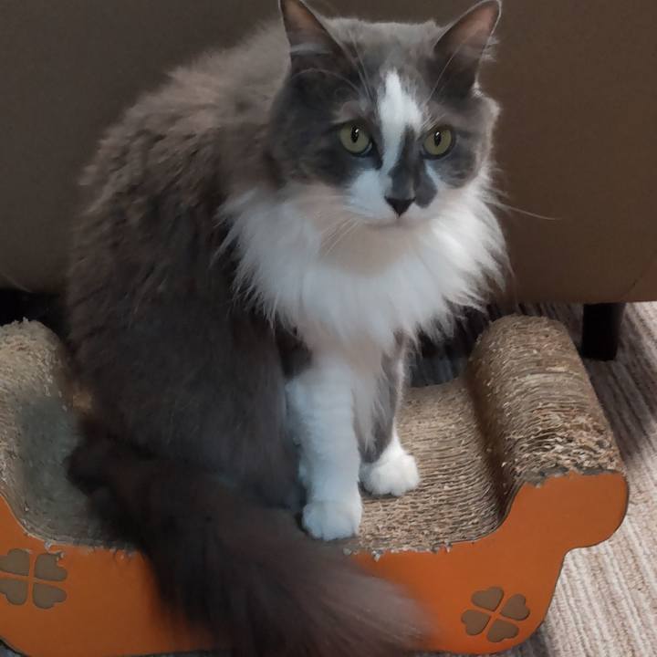 Bb1a0f65 3316 490e a419 bc837c03a812 1752359916336