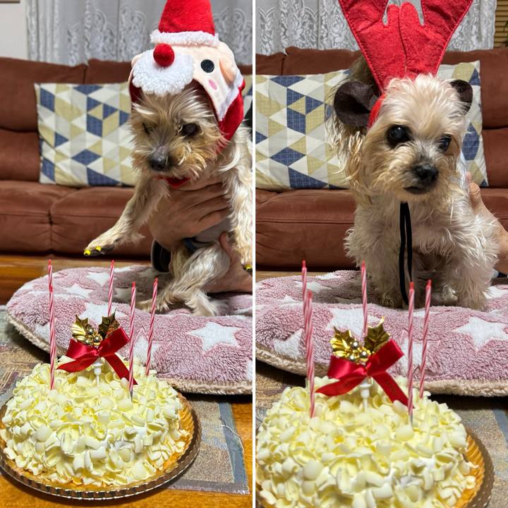 Bb1a1ad3 bb01 40d7 9ead 46a4553d5aa7 1703498270296