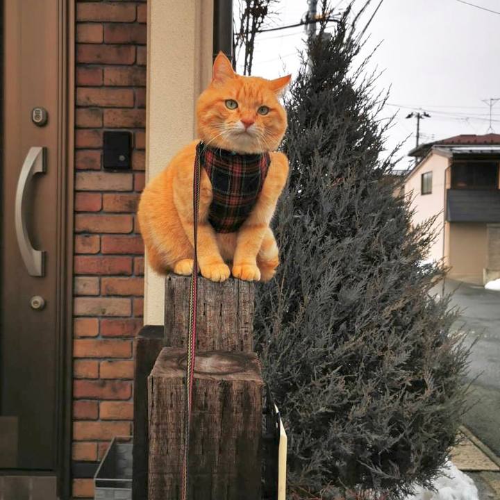 Bb1a3391 46e3 41af a645 d059d935c7eb 1612682426072