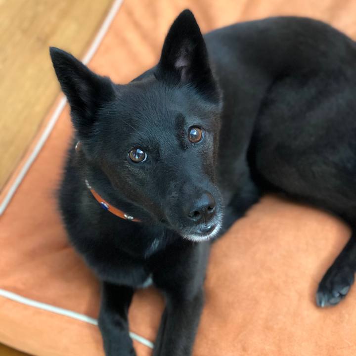 Bb1a4399 fbf9 49b3 9942 89ee19d73018 1626908906353