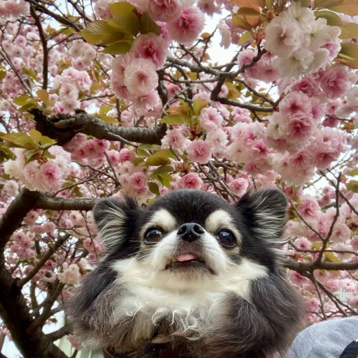 Bb1a56b6 f8e0 4f14 aff8 3c5573d12c91 1776213652690