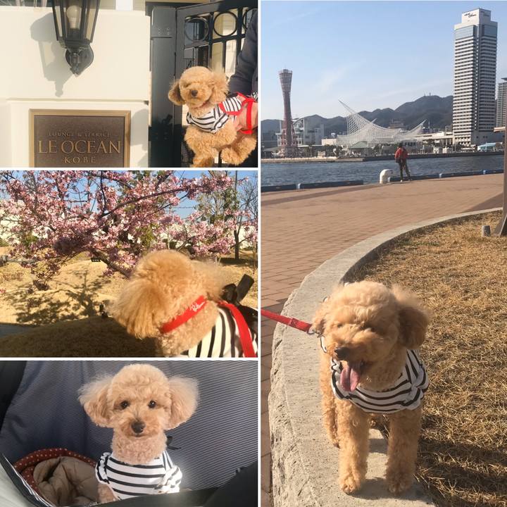 Bb1a672a 8d05 4d50 9fd0 0edc85d924d8 1582538368437