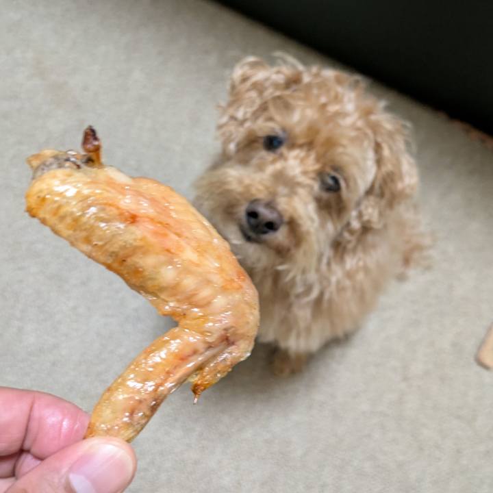 Bb1a9f9d b809 4b7d bbd2 ce6c8787090a 1750545220474