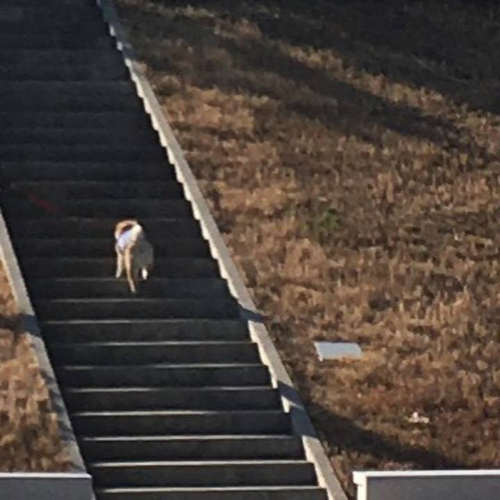 Bb1ac90f 96af 4193 b4e9 0e4681ec4e17 1576315269283