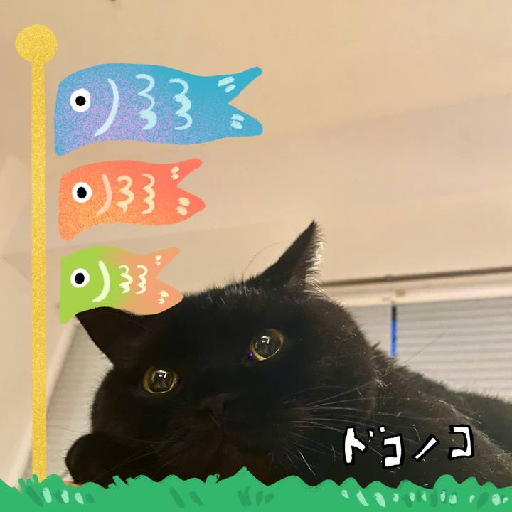 Bb1ad979 eb3d 4e27 9801 4e9b296c0a2d 1714912017636