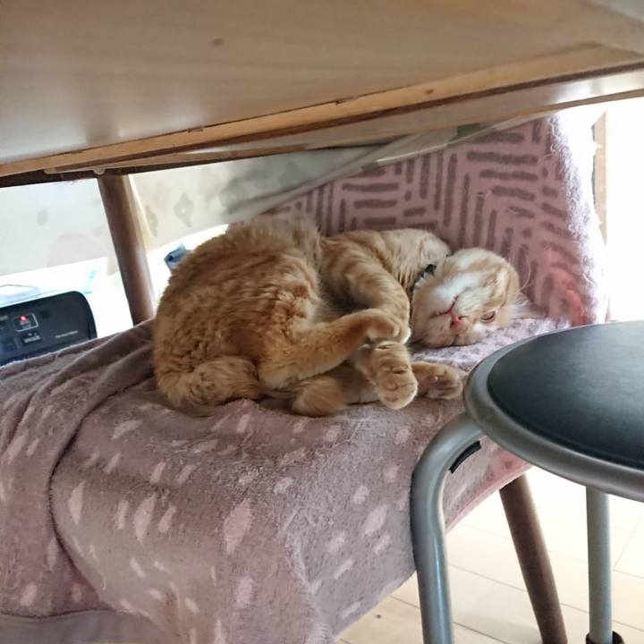 Bb1ae073 f133 414a 8f47 2fc017b70fea 1652088461643