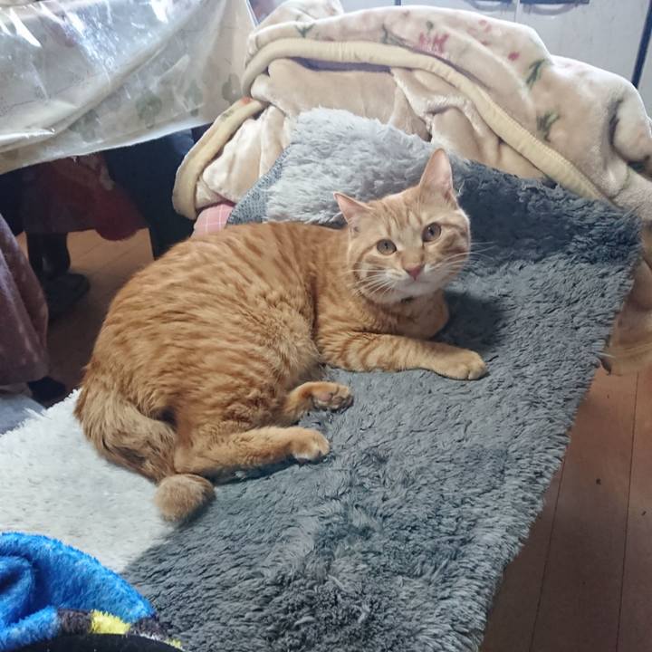 Bb1ae4eb dd45 47a5 b16a f8d122dc67e9 1646196103474