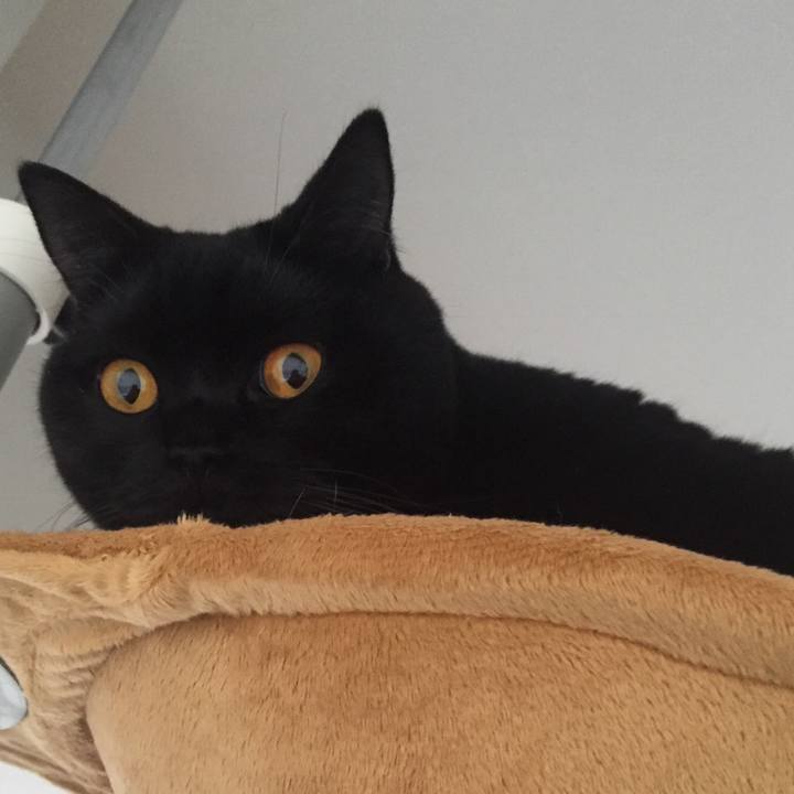 Bb1b0440 5c52 4a80 92a8 7f78355e02f1 1510803798925