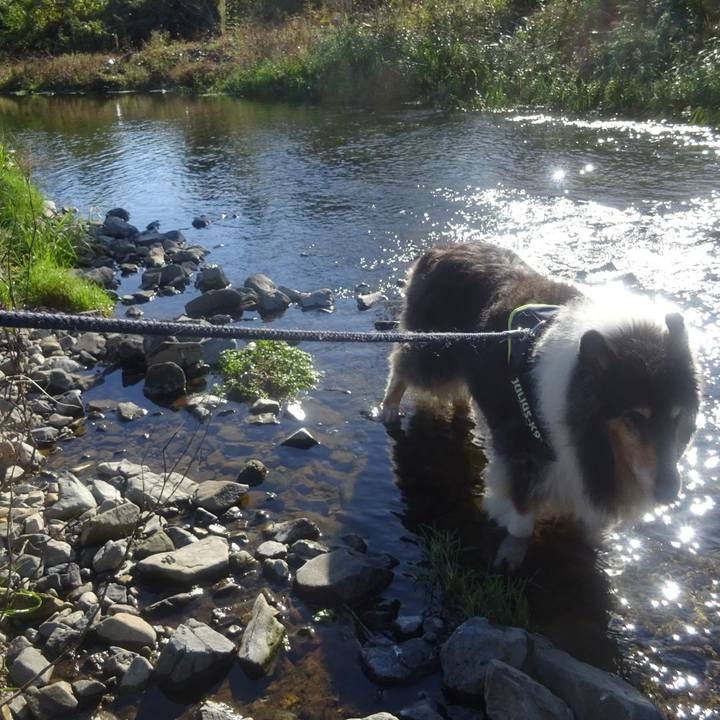 Bb1b0866 7478 43e6 9ab9 8e70f76d5422 1603634996162