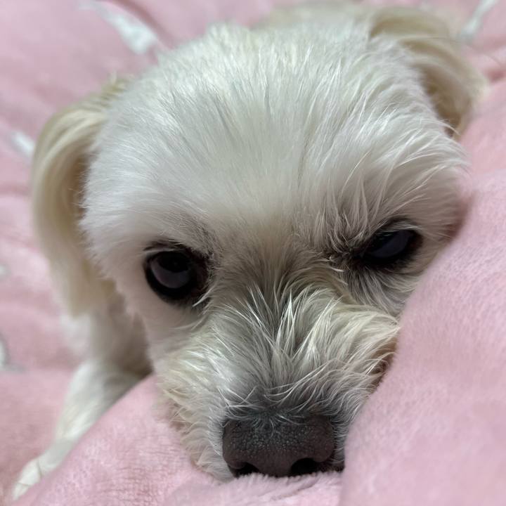 Bb1b1653 7418 4427 b36a ca2b921cdad6 1667387732083