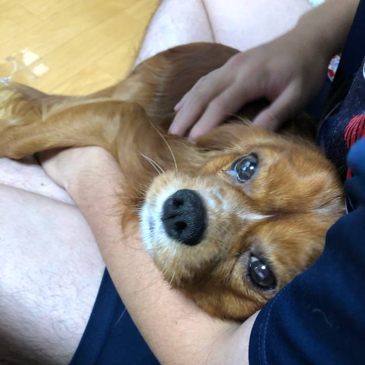 Bb1b29ae 4cc0 48cf 871b f2e0e5459b5b 1570055199042