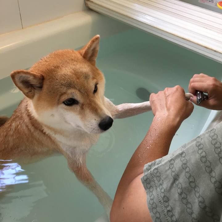 Bb1b64a7 0f88 471e a81d bd78a0b6e239 1568444533792