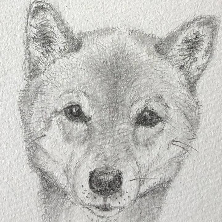 Bb1b7725 0211 4505 906f 9e57698ab834 1590287256752