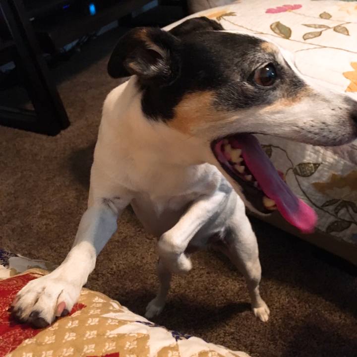 Bb1b8471 e501 4947 a9a0 565432995e81 1557698603787