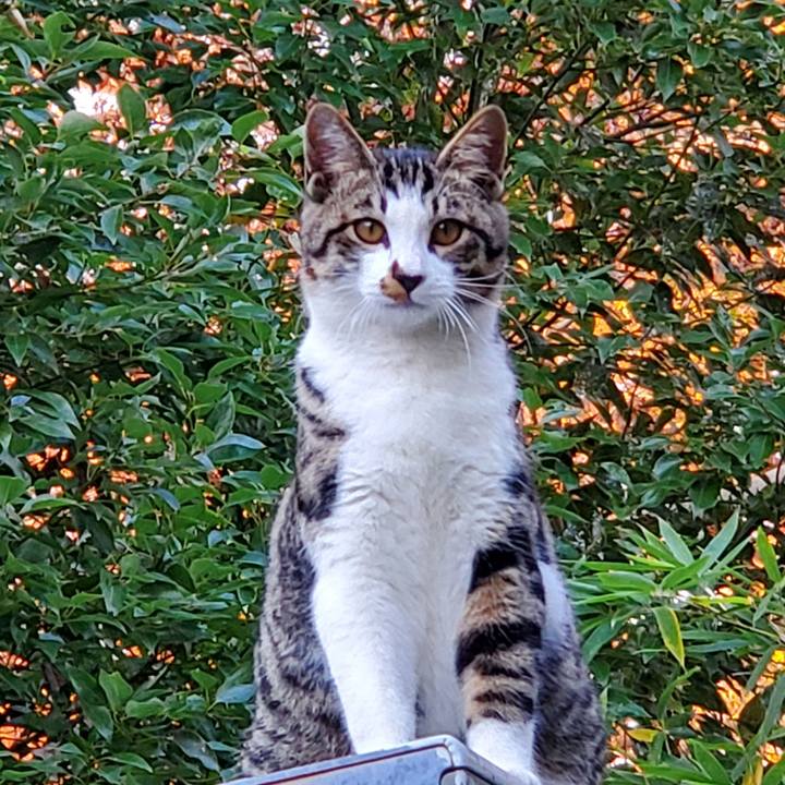 Bb1b936a e015 42ae b63f d28215778b76 1733302823256