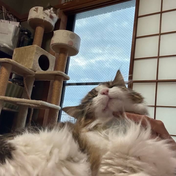 Bb1beeb3 499c 4715 a3fa 5cf73f56b1f3 1769743779073