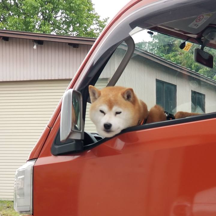 Bb1befee b5e6 4c0d aacf d19f30d1f912 1655190282351