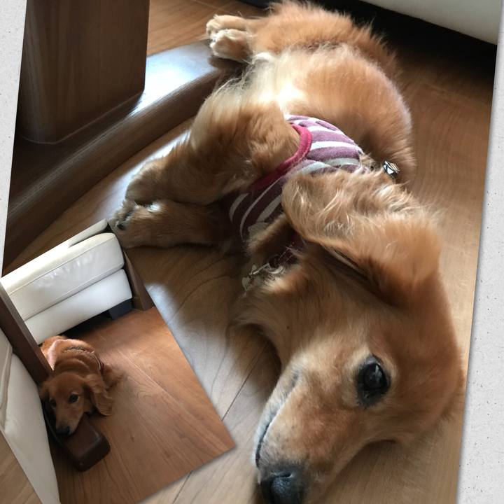 Bb1bf292 9475 4721 affe 85ea23cde1b5 1531279929396