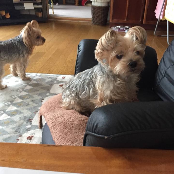 Bb1c0b85 379c 4bb0 80a4 e5082c390d21 1541926687405